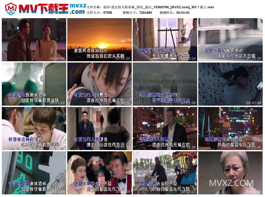 赵洋-爱过的人陪着谁_国语_流行_YE800799